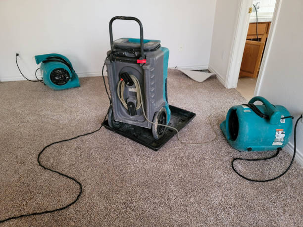 Best Water damage restoration near me  in Metlatla, AK