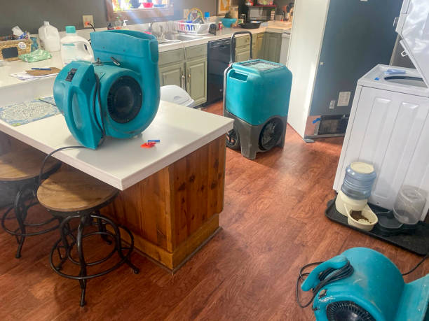 Best 24/7 water damage repair  in Metlatla, AK