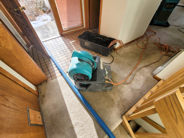Best Professional water damage repair  in Metlatla, AK