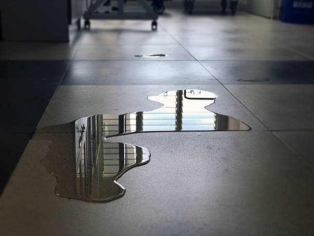 Best Water damage cleanup near me  in Metlatla, AK