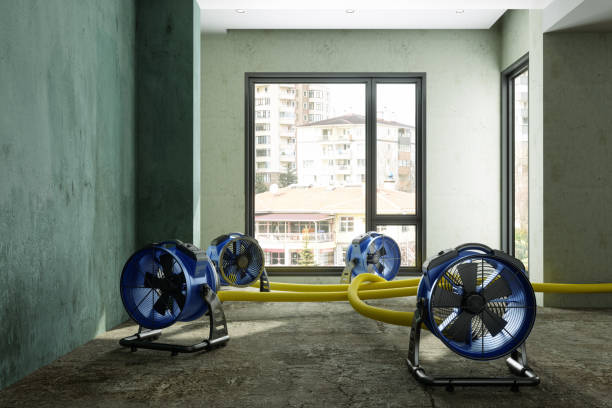 Carpet water damage restoration in AK