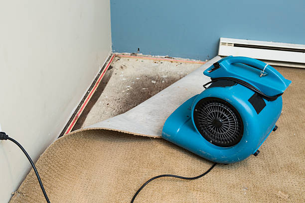 Best Residential water damage restoration  in Metlatla, AK
